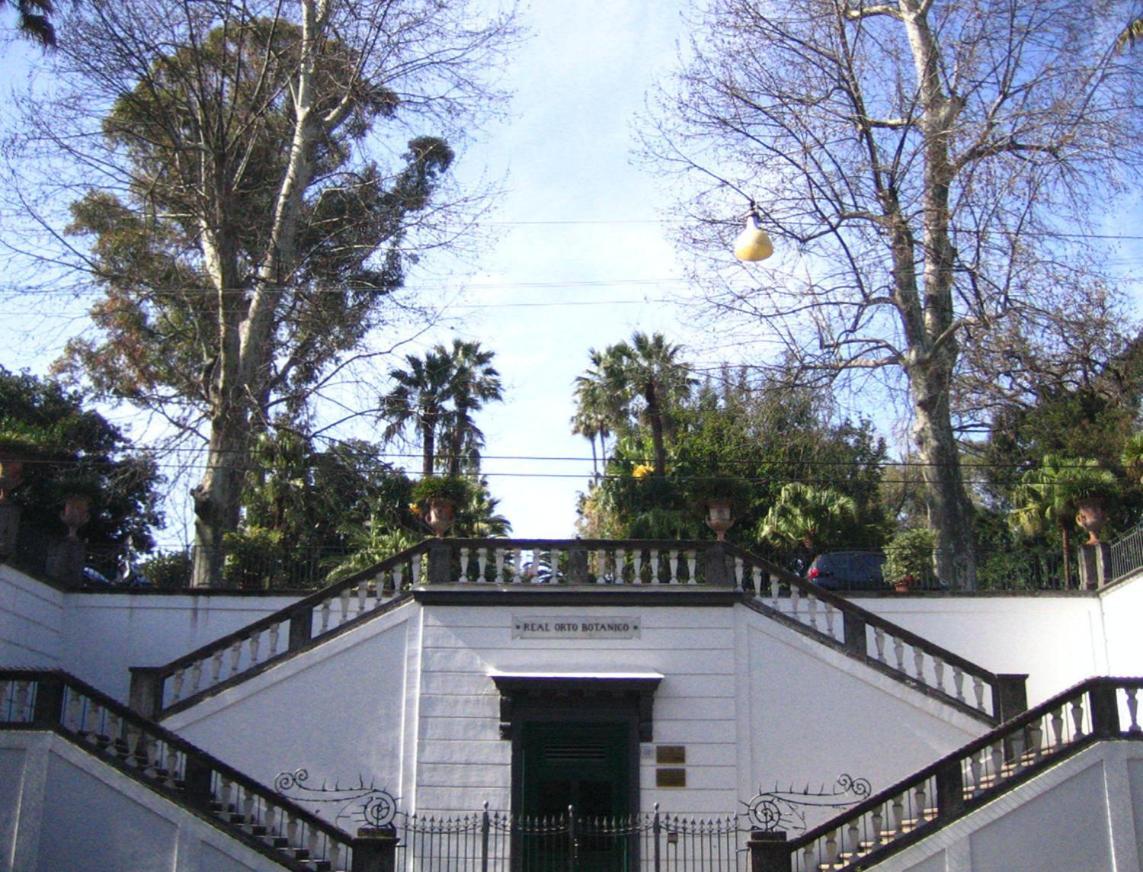 Ira House Apartment Napoli Exterior foto